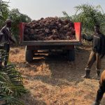 Refitec aposta na produção nacional com compra de óleo de palma do Kwanza Norte