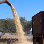 Zimbabué recebe subvenção de 10,12 milhões de dólares para reforçar produção agrícola