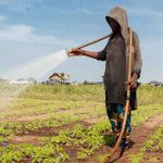 BAD aprova financiamento de 102 milhões de euros para transformar agricultura nas Savanas do Benim