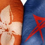 BFA e ENSA firmam parceria para reforçar oferta de soluções financeiras e seguradoras