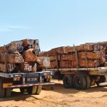 IDF tenta ordenar sector florestal perante excesso de madeira de mussive armazenada
