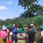 Odebrecht Angola e parceiros reforçam produção agrícola em Malembo